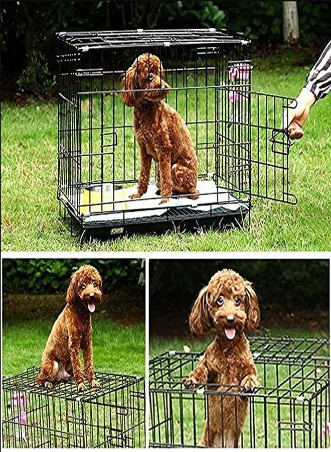 KittuPet Double Door Folding Metal Dog Cage with Paw Protector(Size :24 Inch) Black - Image 5